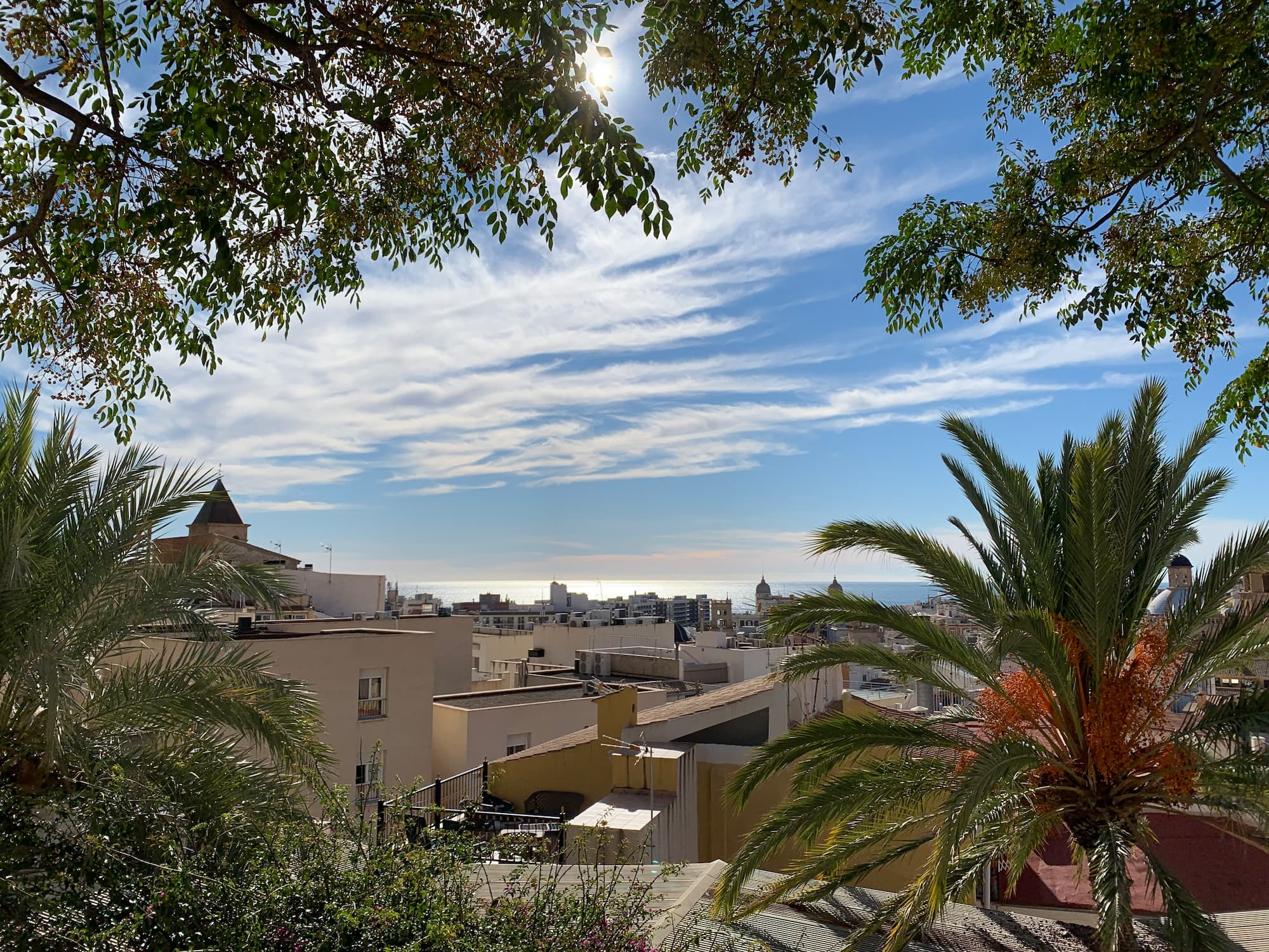 IMG_0660 2-2 Ville de Alicante