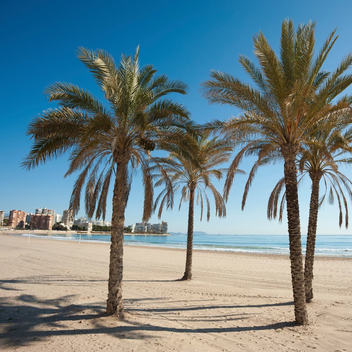 plage-de-valencia Place de Valencia