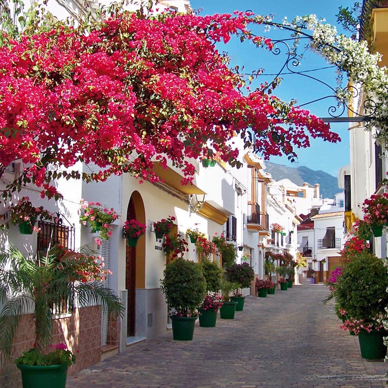 rue-de-Estepona Ruelle de Estepona
