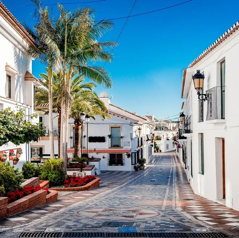 Ruelle de Benalmadena Ruelle pittoresque de Benalmadena avec des maisons blanchies à la chaux, des palmiers et des fleurs colorées