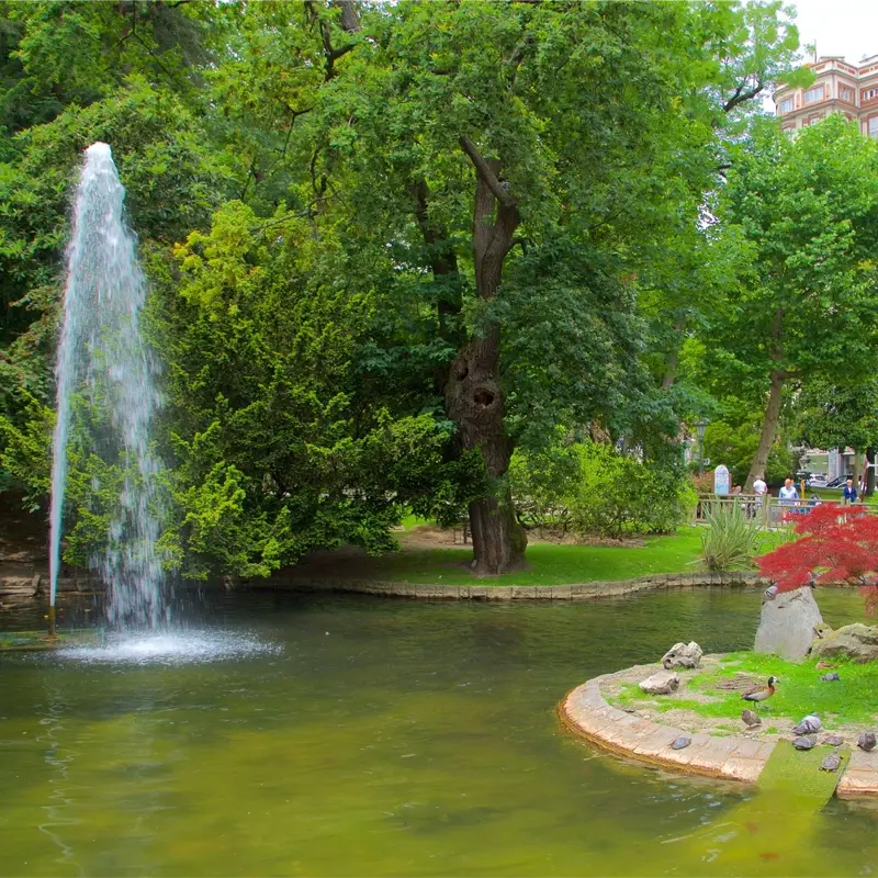 Fontaine jaillissante dans un parc avec un étang et des arbres verts