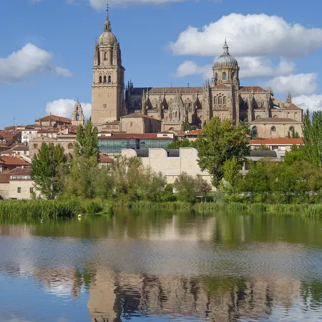 Salamanque Cathédrale de Salamanque vue depuis le fleuve Tormes avec reflets dans l’eau