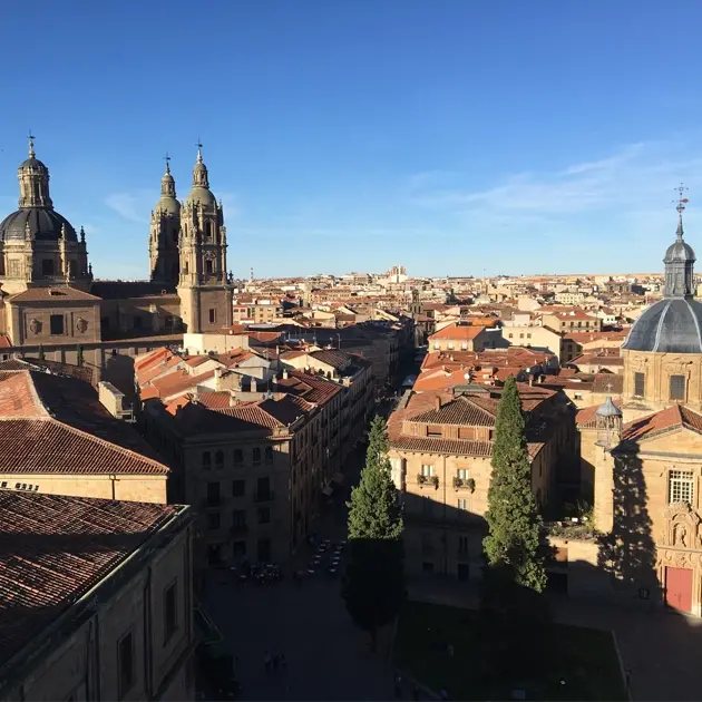 Vue aérienne sur les toits et la cathédrale de Salamanque, Espagne