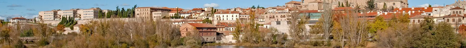 Salamanque Panorama de la vieille ville de Zamora en automne avec vue sur la rivière Duero