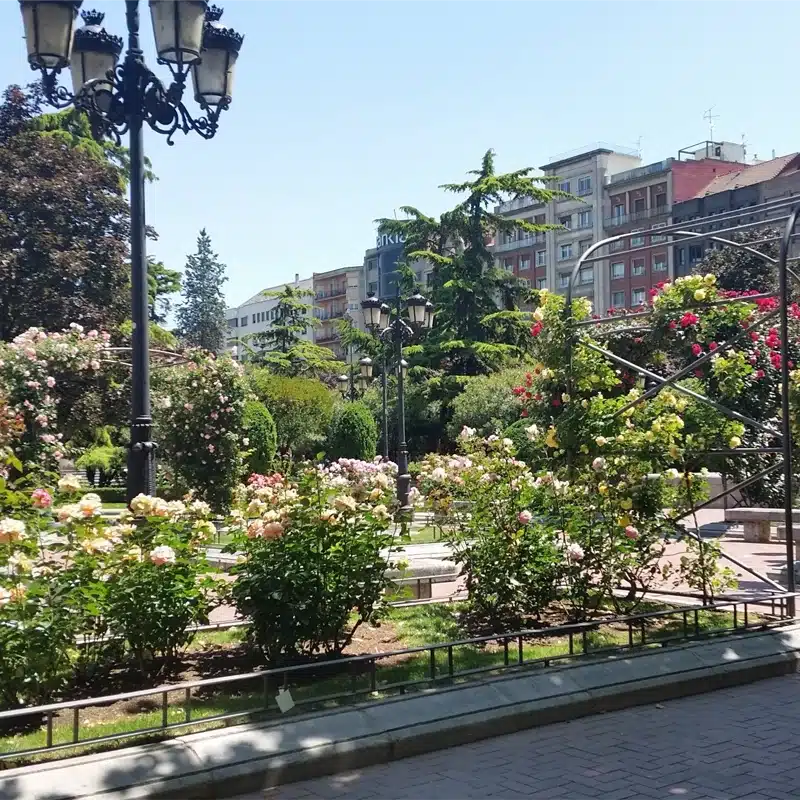 Parc du centre-ville de Logroño avec rosiers et lampadaires anciens