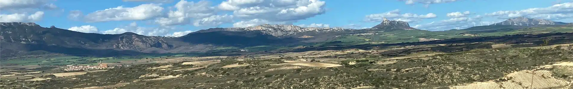 Panorama sur les vignobles de la Rioja Alavesa avec la Sierra de Cantabria en arrière-plan