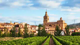 Église historique et champs de vignes dans La Rioja en Espagne