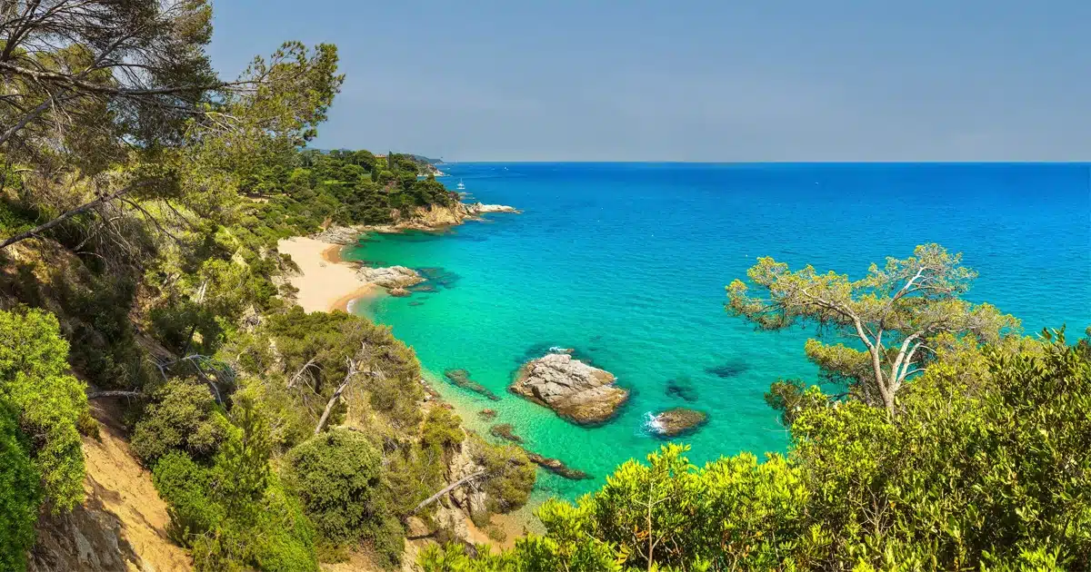 Plusvalía Municipal Belle plage espagnole avec une mer cristalline, un rivage sableux et des pins denses sur les falaises.